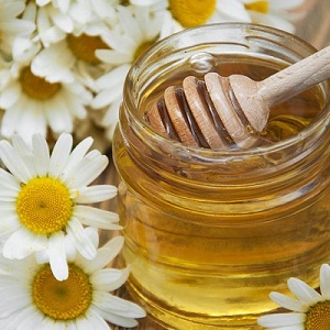 Miel cuillère de miel pot de miel fleur marguerite